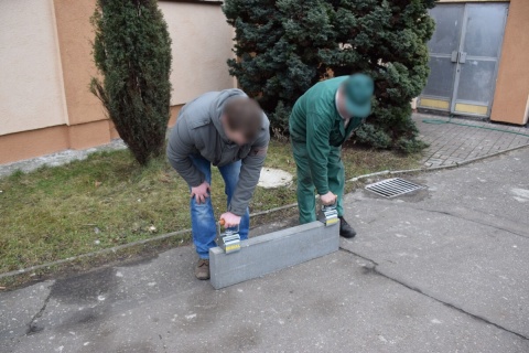 Ręczny Chwytak Walizkowy MIMAL RCW